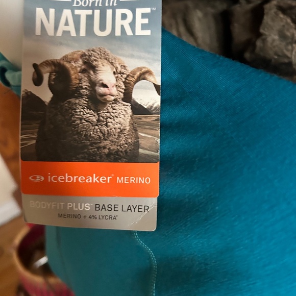 Icebreaker 1/2 Zip Merino 260 Womens XS Bodyfit plus Base layer NWT NEW - Picture 3 of 7